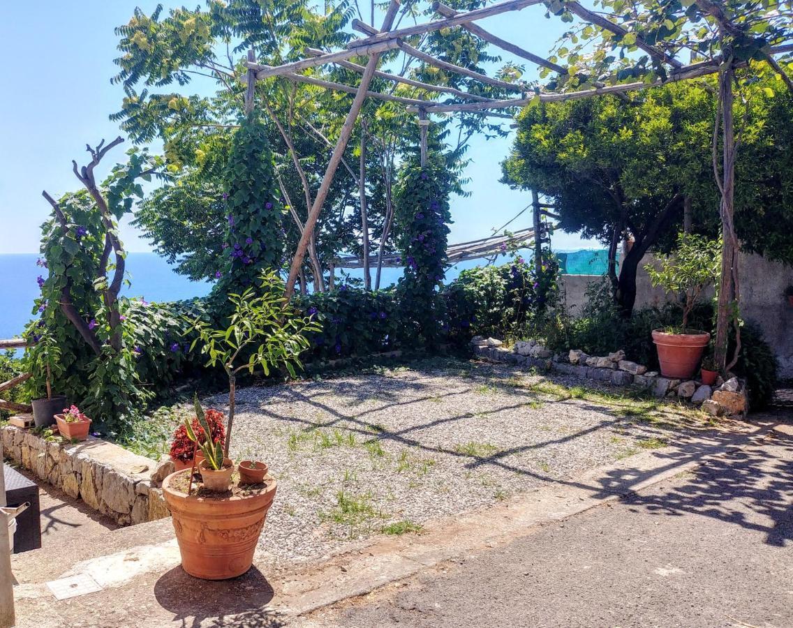 Apartamento Il Limoneto Furore Exterior foto